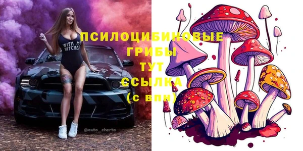 меф Переславль-Залесский