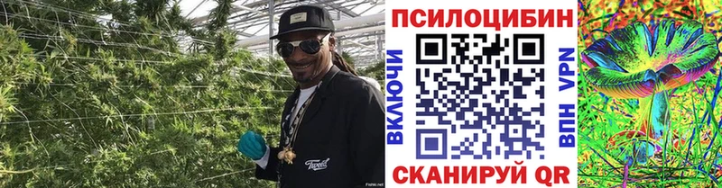 Галлюциногенные грибы Magic Shrooms где купить наркоту Усолье-Сибирское